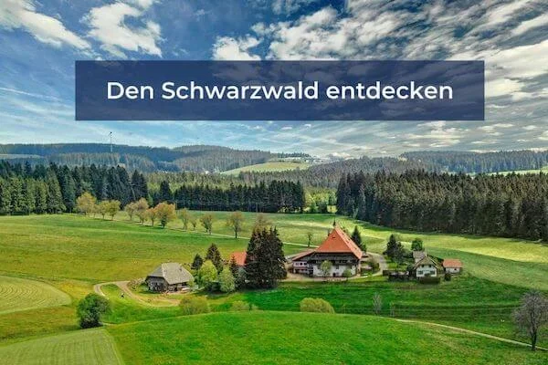 Landscape in the Black Forest near Karlsruhe