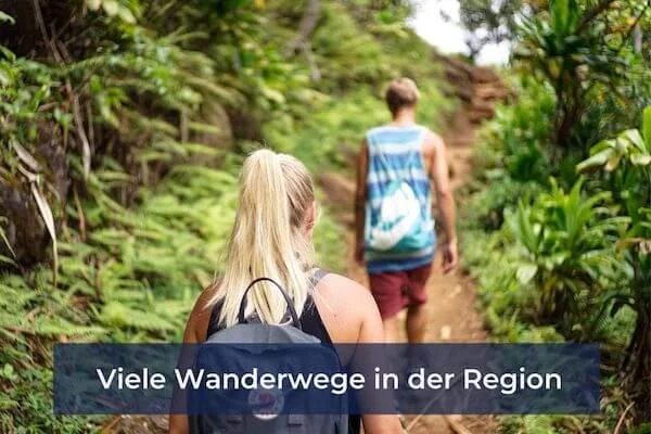 Students hiking in the Karlsruhe region